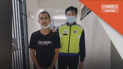 Haiwan Dilindungi | Warga asing dipenjara simpan kepala rusa, bulu landak