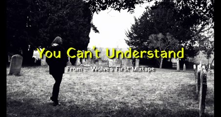 Acorn Wolve - You Can't Understand  (official Video)