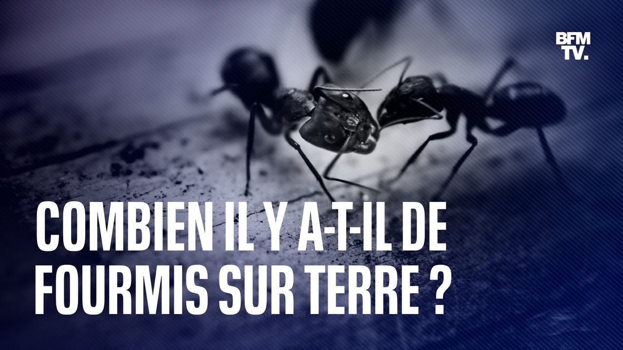 Vise Le Milliard T'aura Peut Etre Un Million Ou Deux