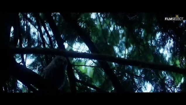 PERCY JACKSON AND THE OLYMPIANS Teaser Trailer (2023)