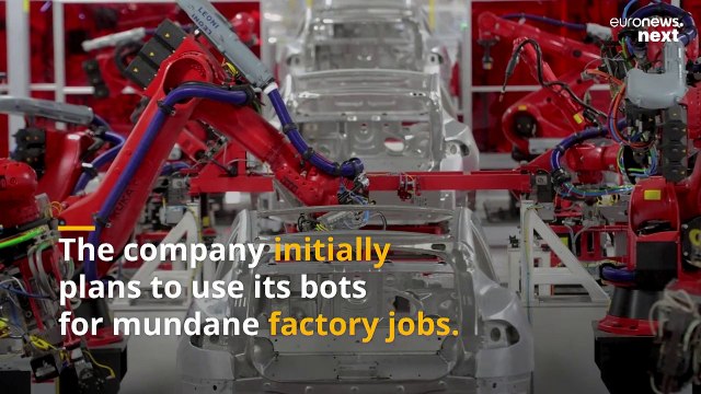 Tesla is set to unveil its ‘Optimus’ humanoid robot this month. What should we expect?