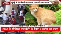 Mumbai Breaking : Mumbai में बिल्लियों के खिलाफ BMC का ऑपरेशन | Mumbai News |