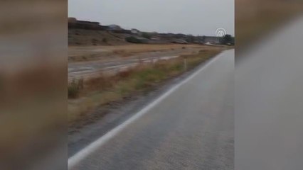 Şiddetli yağış sele neden oldu