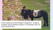 Mort d'Elizabeth II : ses corgis et son poney lui rendent hommage, des images qui ont touché le monde entier