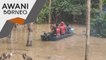 Serangan Buaya | Operasi tangkap buaya di Sungai Kinabatangan
