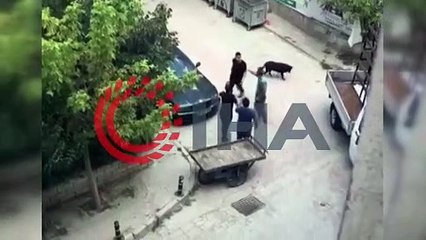 Olur olmaz her şey için kavga ediyoruz... Bu da 'neden çizdin' dayağı!