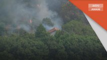 Kebakaran | Taman Negara Serra da Estrela terbakar