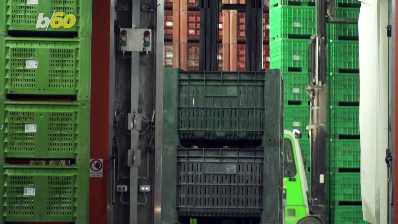 Resourceful Italian Fruit Farmers Use Hill Caves to Help Cut Energy Bills