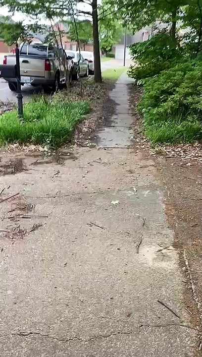 Squirrel runs from Princess