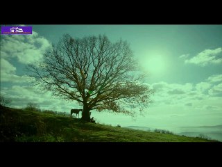 مسلسل ارطغرل من الحلقة 25 الى 27 الموسم الثالث مدبلج