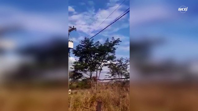 Veja o momento em que helicóptero com deputado cai em MG