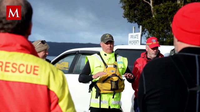 Encuentran 230 ballenas varadas en Australia; la mitad estaban muertas