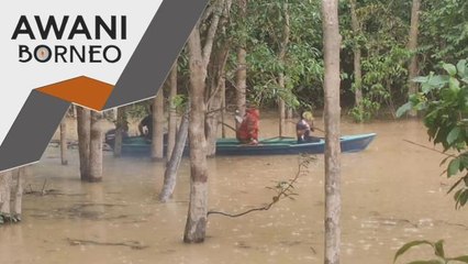 Serangan Reptilia | Sabah buka permohonan tangkap buaya