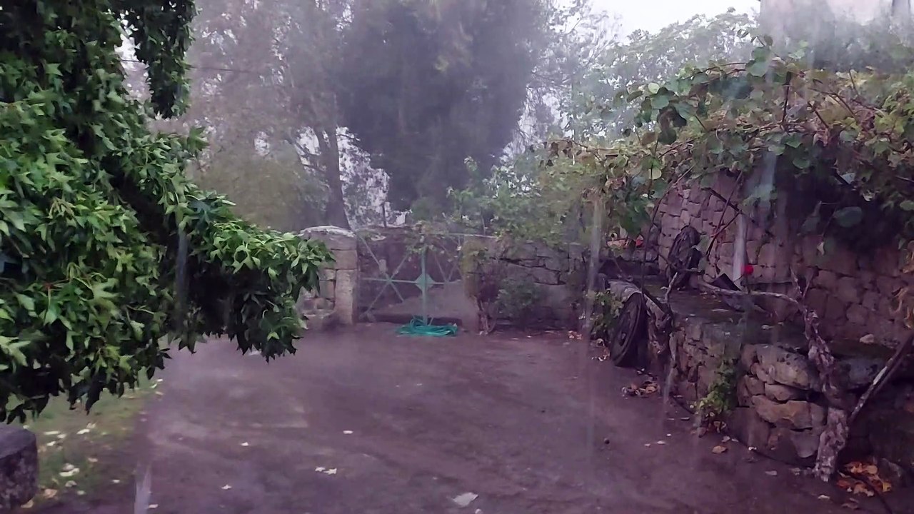 All Around the Douro River (9)