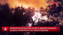 Antalya'da çay kenarındaki sazlık ve ağaçlıkta yangın