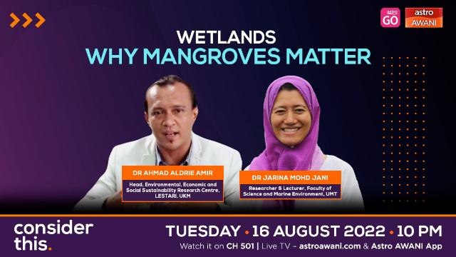 Consider This: Wetlands (Part 2) - Build Back Bonds Between People & Nature