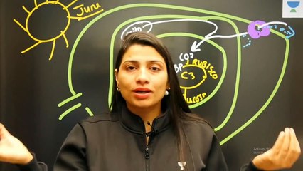 L7_ C4 Cycle and Photorespiration _ Photosynthesis Complete NCERT Review _ NEET