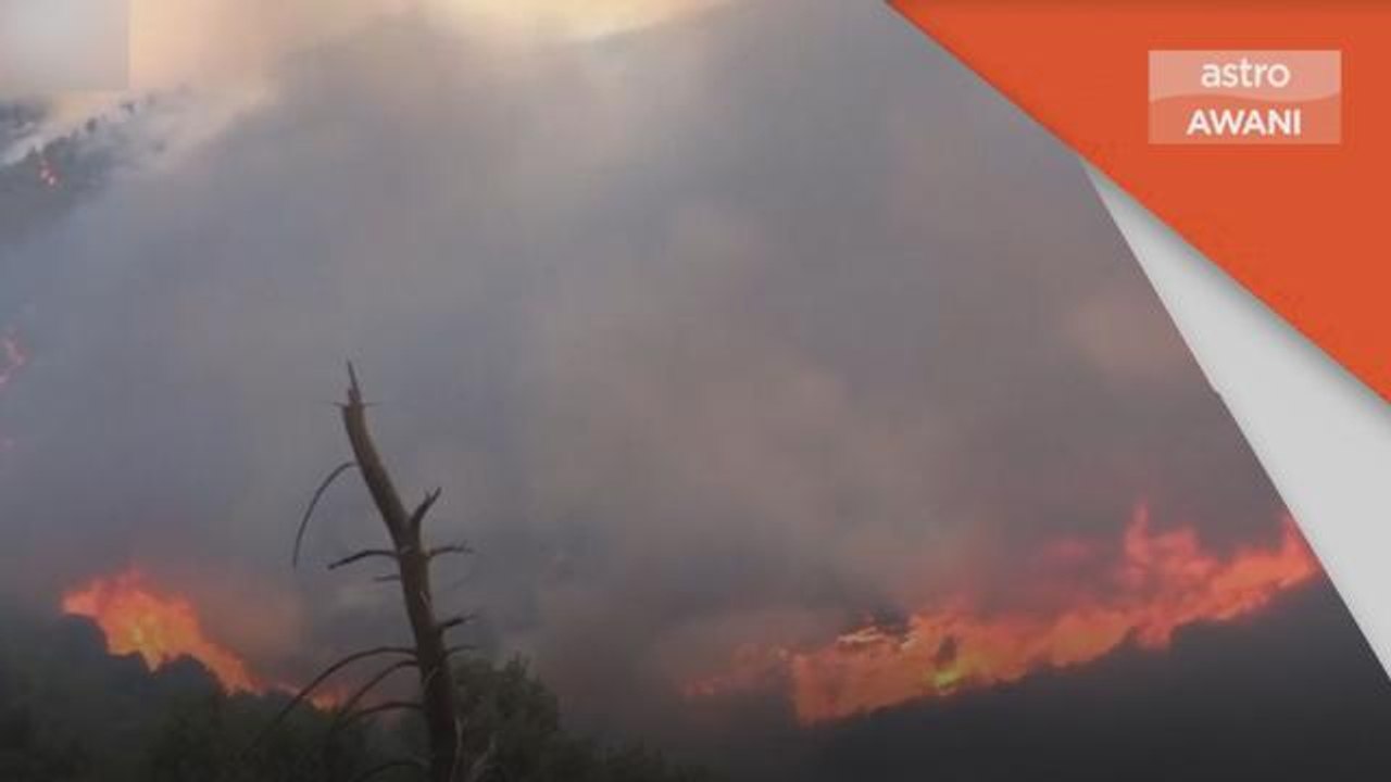 Kebakaran | Ribuan ekar hutan terbakar di Sepanyol