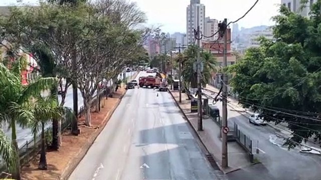 Fúria das ABELHAS trava o TRÂNSITO de BH - LEVEI 12 FERROADAS