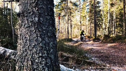 Best full suspension mountain bike AlafShop