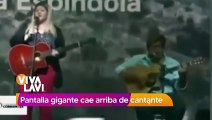 Pantalla gigante cae sobre cantante en concierto