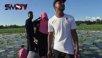 বন্দে মায়া লাগাইছে, পিরিতি শিখাইছে