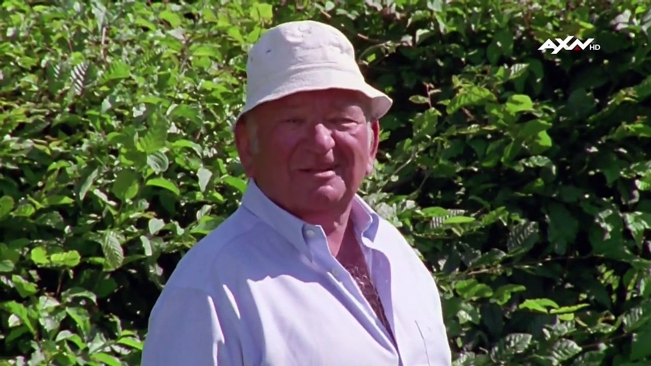 Kommissar rex staffel 3 folge 8 hd deutsch