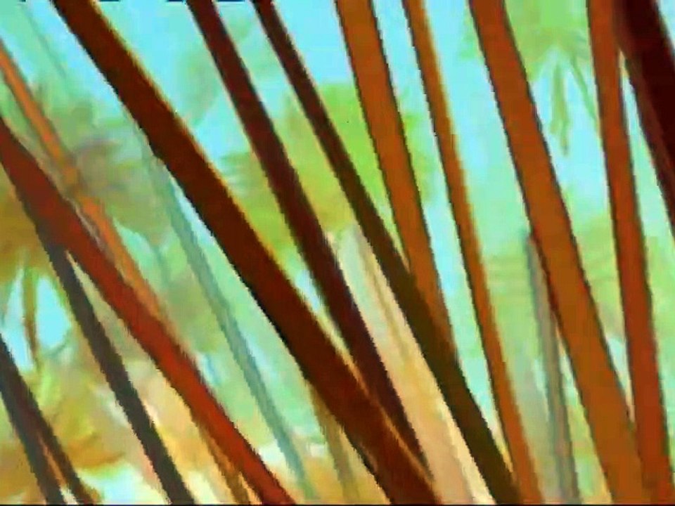 Papyrus Staffel 2 Folge 16 HD Deutsch