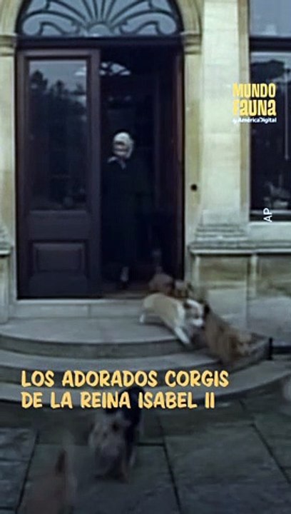 Los queridos perros corgis de la reina Isabel II tienen un nuevo hogar