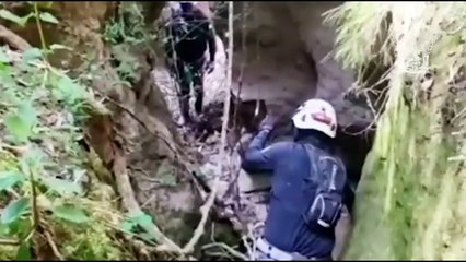 Hallan asesinada a abogada que había desaparecido en la escuela de Policía de Ecuador