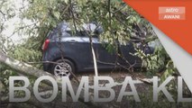 Hujan Lebat | 10 kenderaan rosak ditimpa pokok