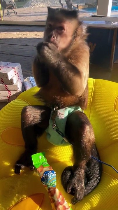 Thank you Ms Donna Pagliaro for all my goodies and moms too!!! These almonds are tasty for me!!