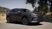 2023 Lexus RX 450h+ Luxury Exterior Design in Cloudburst Gray