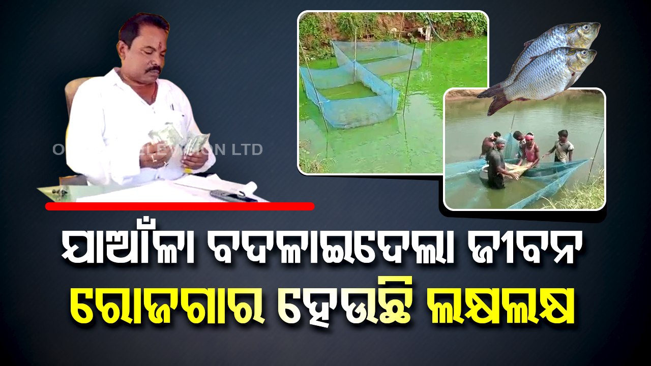 Special Story | Odisha's Nuapada farmer scripts success in pisciculture