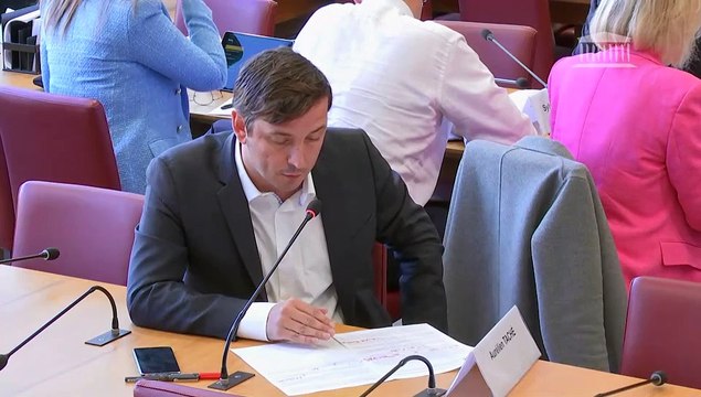 Commission des affaires étrangères : M. Stéphane Crouzat, ambassadeur chargé des négociations sur le changement climatique, pour les énergies renouvelables et la prévention des risques climatiques - Mercredi 21 septembre 2022