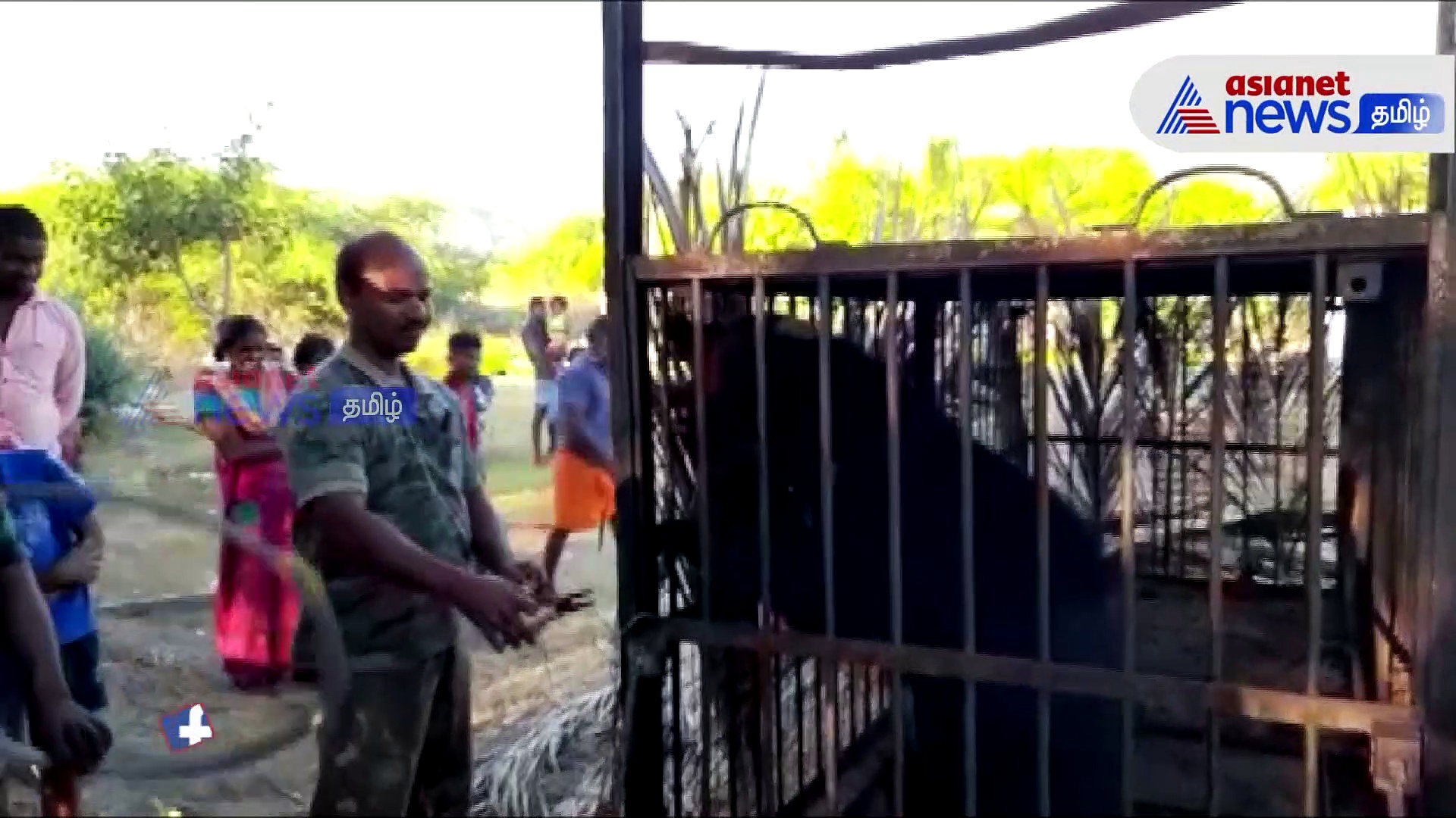 Viral : களக்காடு பகுதியில் மக்களை அச்சுறுத்தி வந்த கரடி கூண்டில் சிக்கியது!!