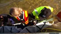 Rescuers are trying to save 35 stranded pilot whales