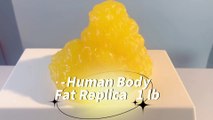 1lb Fat Replica Artificial Soft Realistic for Weight Motivation in Gyms, Nutrition Courses