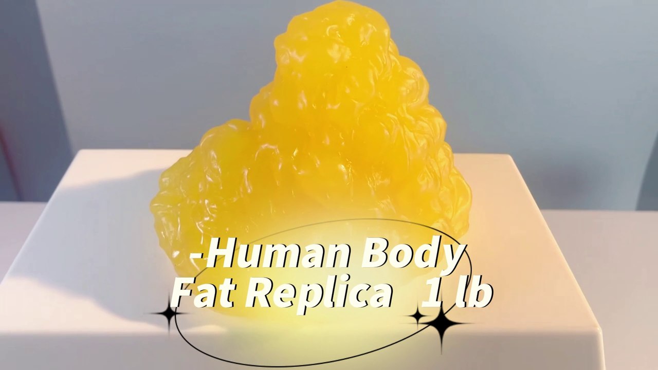 1lb Fat Replica Artificial Soft Realistic for Weight Motivation in Gyms, Nutrition Courses
