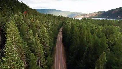 A Road In The Middle Of A Forest