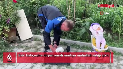 Evin bahçesine düşen yaralı martıya mahalleli sahip çıktı