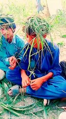 Funny video | Comedy video | joke | Entertainment