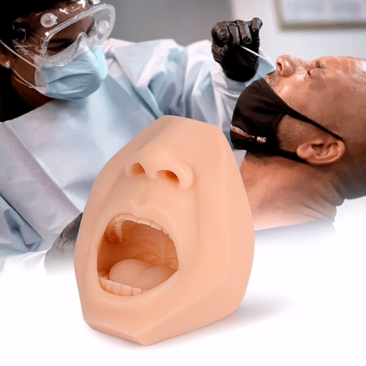 Throat & Nasal Swab Collection Training Model Preview