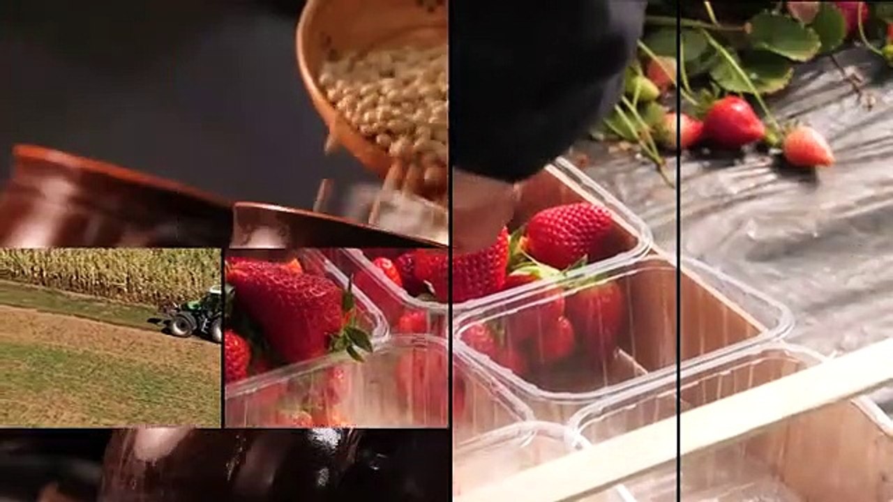 "IL GUSTO DELLA SALUTE": La Meloncella