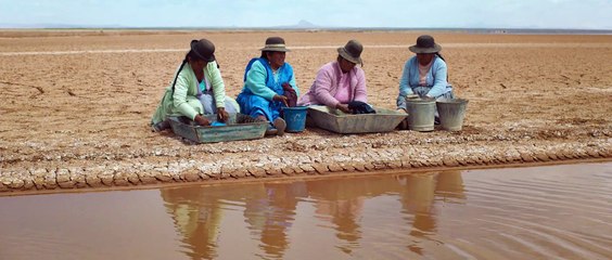 Utama - Le terre dimenticate (Trailer Ufficiale HD) ⭐️⭐️⭐️⭐️