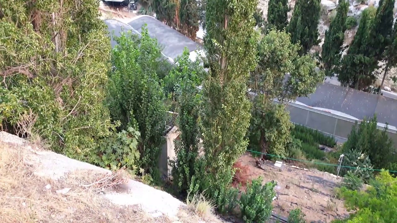 هل تعرف أين تقع محمية وعين واد القف في فلسطين ؟ جولة خلال كورونا