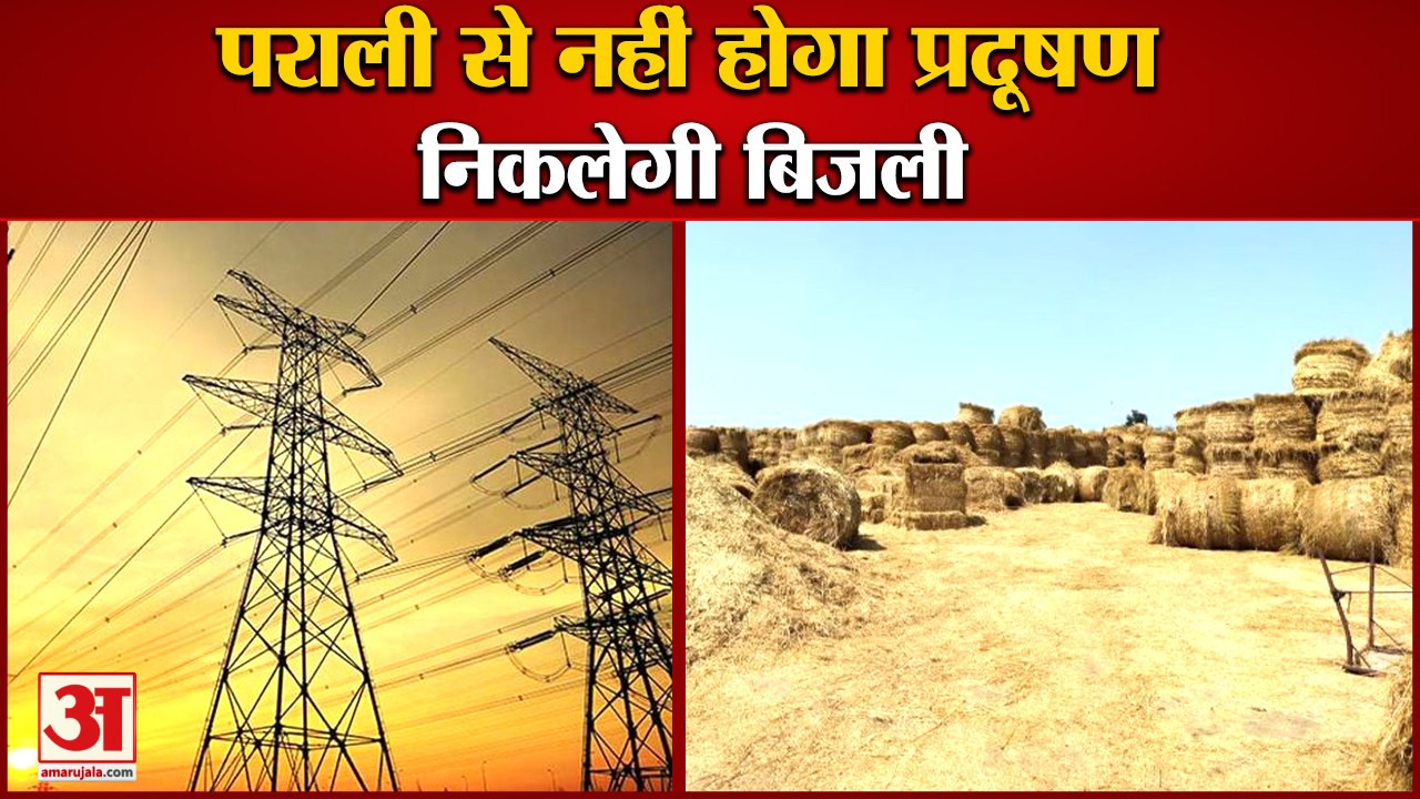 Electricity Will Be Generated From Parali In Haryana|पराली से अब नहीं होगा प्रदूषण,निकलेगी बिजली