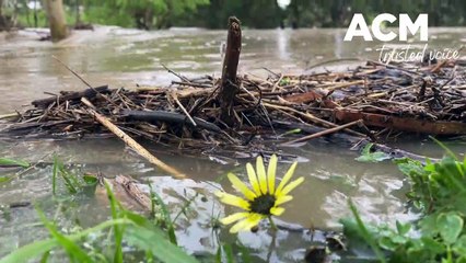 Tamworth in flood - September 22, 2022 - Northern Daily Leader