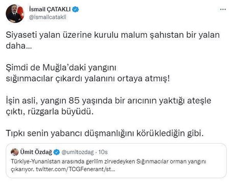 Son dakika haber | Bakan Yardımcısı Çataklı: Marmaris yangını, arıcının yaktığı ateşle çıktı