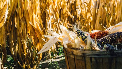 4 in 10 couldn’t imagine not being able to buy staple fruits and veggies in their local store
